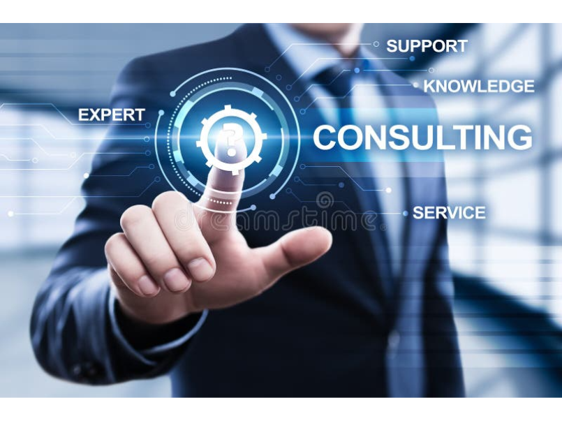 Professional Business Consulting Services by Ashish Kumar Agarwal